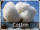 cotton