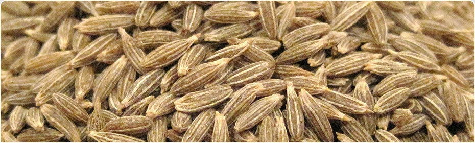 Cumin Seeds, Exporters of Spices, Fennel Seeds, Fenugreek Seeds , Coriander Seeds, Turmeric Fingers