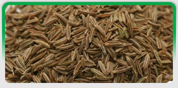 Cumin Seeds, Exporters of Spices, Fennel Seeds, Fenugreek Seeds , Coriander Seeds, Turmeric Fingers