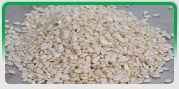 Oil Seeds, Exporters of Groundnut Kernels, Hulled Sesame Seeds, Natural White Sesame Seeds, Natural Black Sesame Seeds, Niger Seeds 