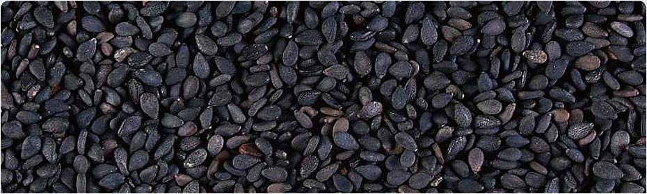 Oil Seeds, Exporters of Groundnut Kernels, Hulled Sesame Seeds, Natural White Sesame Seeds, Natural Black Sesame Seeds, Niger Seeds