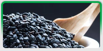 Oil Seeds, Exporters of Groundnut Kernels, Hulled Sesame Seeds, Natural White Sesame Seeds, Natural Black Sesame Seeds, Niger Seeds 