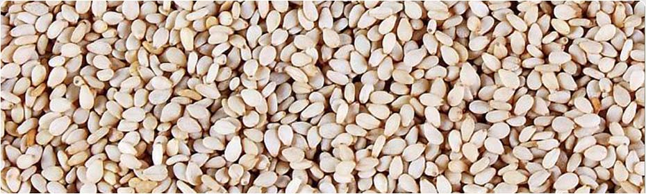 Oil Seeds, Exporters of Groundnut Kernels, Hulled Sesame Seeds, Natural White Sesame Seeds, Natural Black Sesame Seeds, Niger Seeds