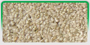 Oil Seeds, Exporters of Groundnut Kernels, Hulled Sesame Seeds, Natural White Sesame Seeds, Natural Black Sesame Seeds, Niger Seeds 