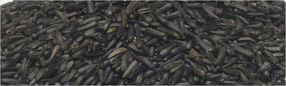 Oil Seeds, Exporters of Groundnut Kernels, Hulled Sesame Seeds, Natural White Sesame Seeds, Natural Black Sesame Seeds, Niger Seeds