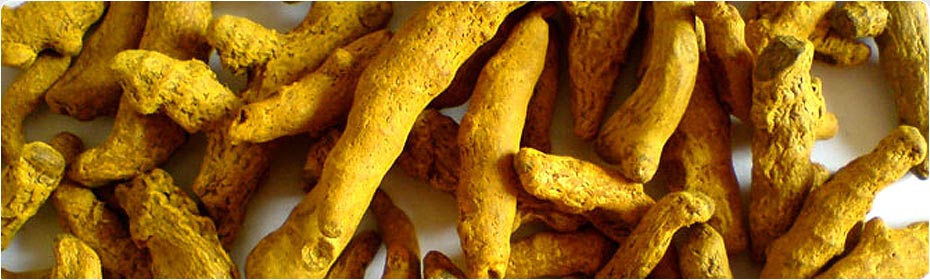 Turmeric Fingers, Exporters of Spices, Cumin Seeds, Fennel Seeds, Fenugreek Seeds, Coriander Seeds, Turmeric Fingers