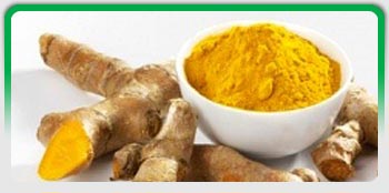 Turmeric Fingers, Exporters of Spices, Cumin Seeds, Fennel Seeds, Fenugreek Seeds, Coriander Seeds, Turmeric Fingers