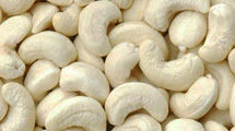 Cashew Kernels