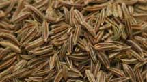 Cumin Seeds