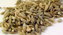 Fennel Seeds