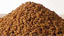 Fenugreek Seeds