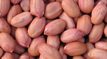 Groundnut Kernels