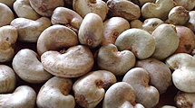 Raw Cashew Nuts